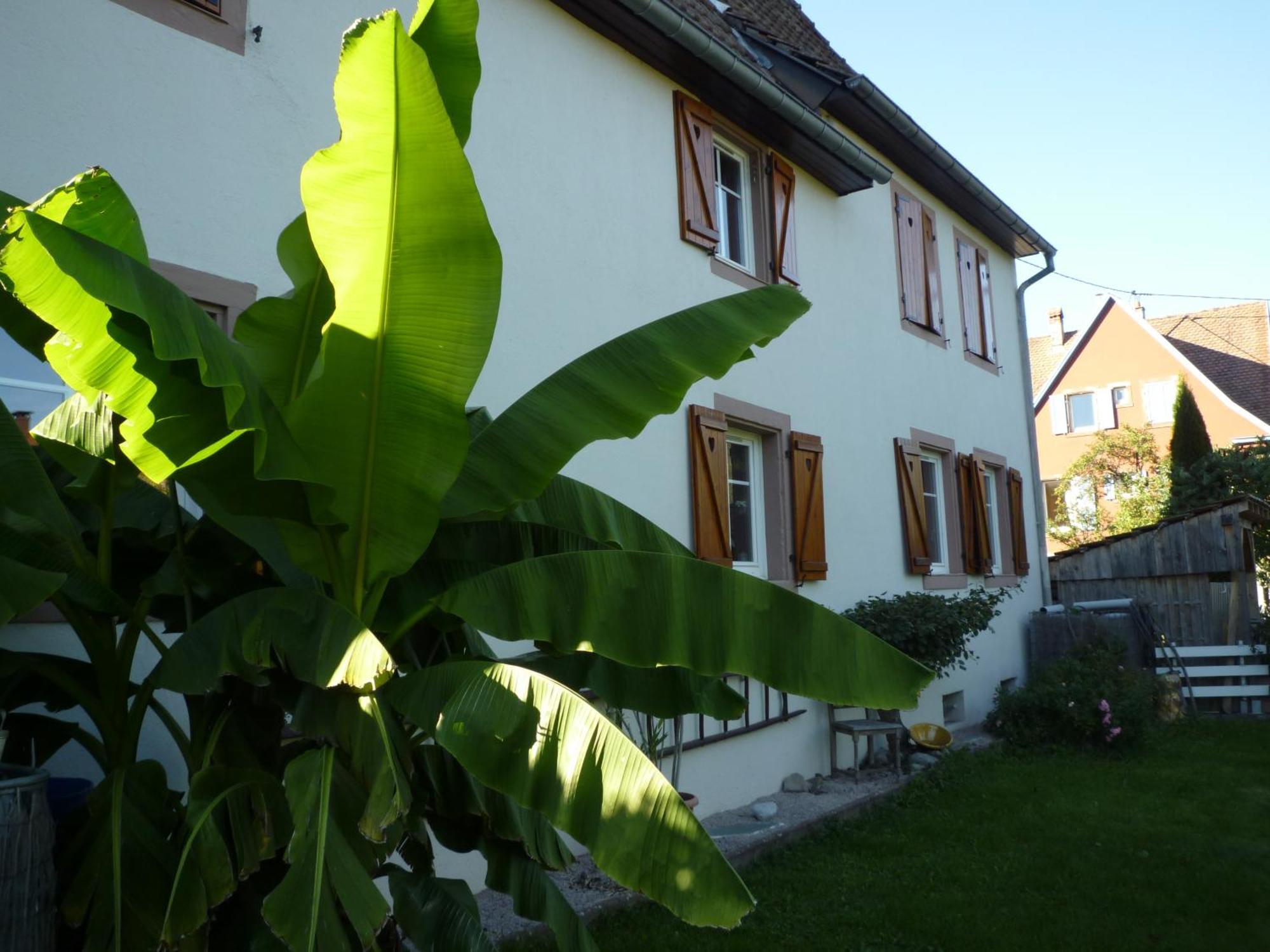 Gite La Charmaie Husseren-Wesserling エクステリア 写真